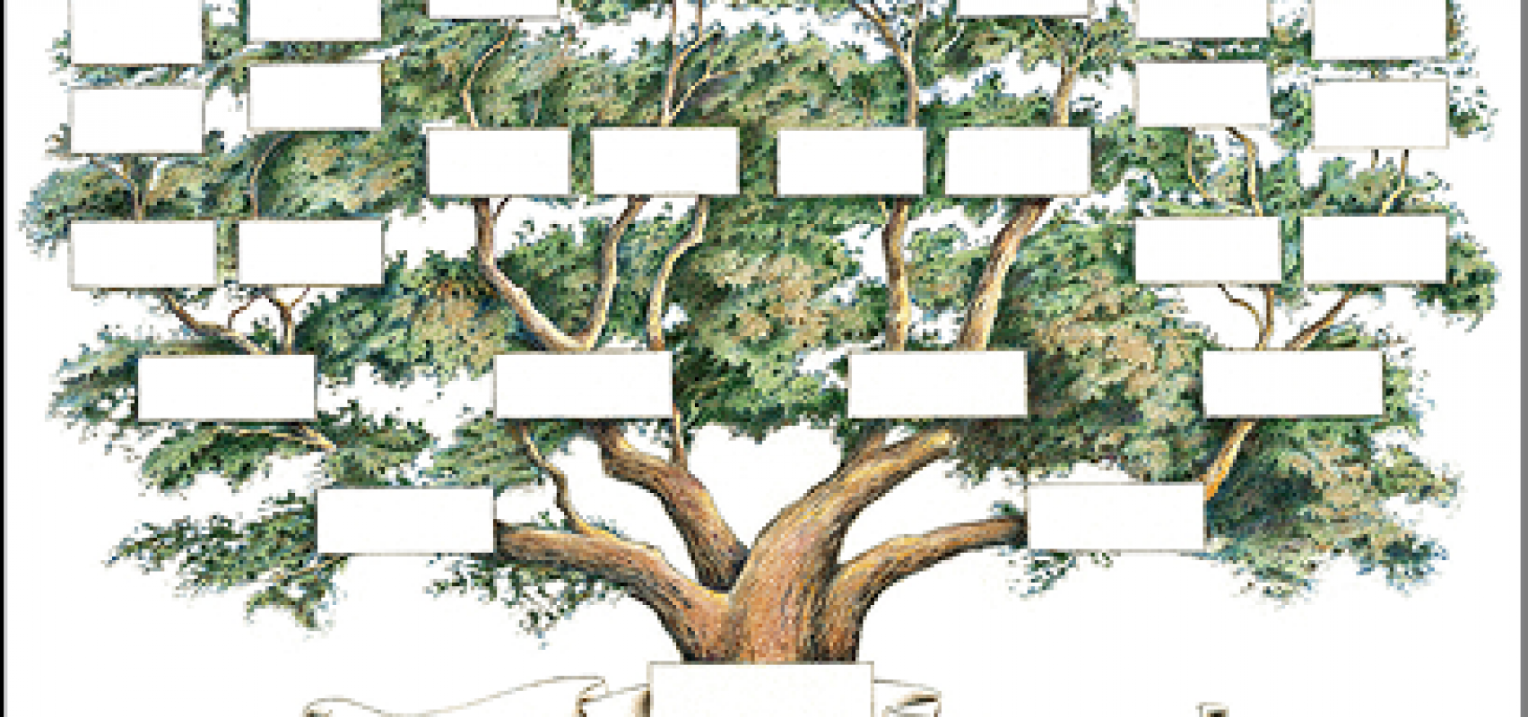 Family Governance